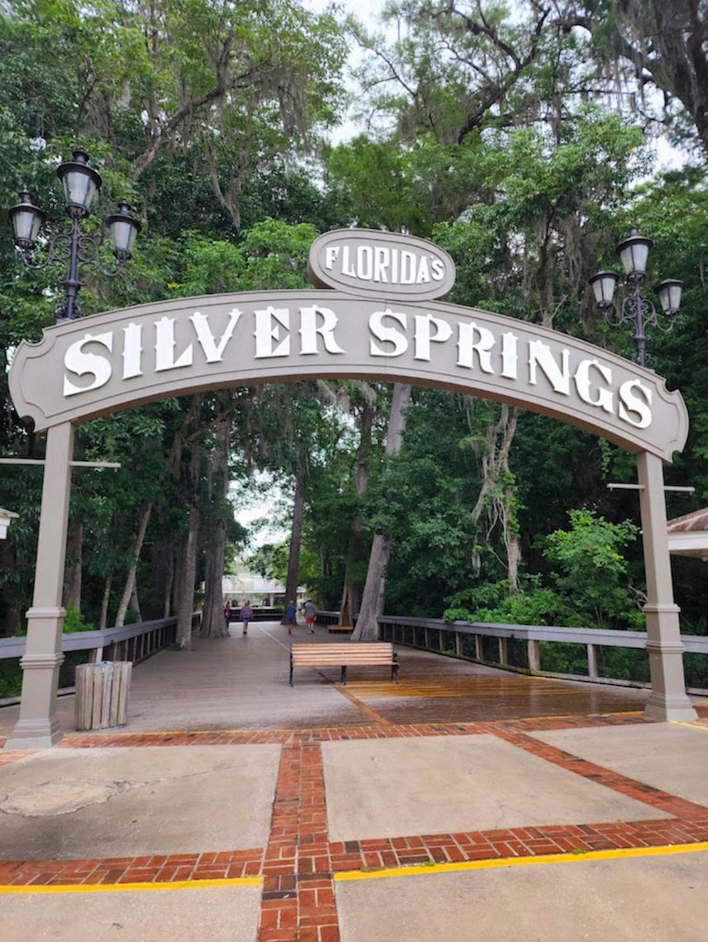 Private Home In Ocala With Fenced Yard, Piano, Central Location, Pets Welcome Esterno foto