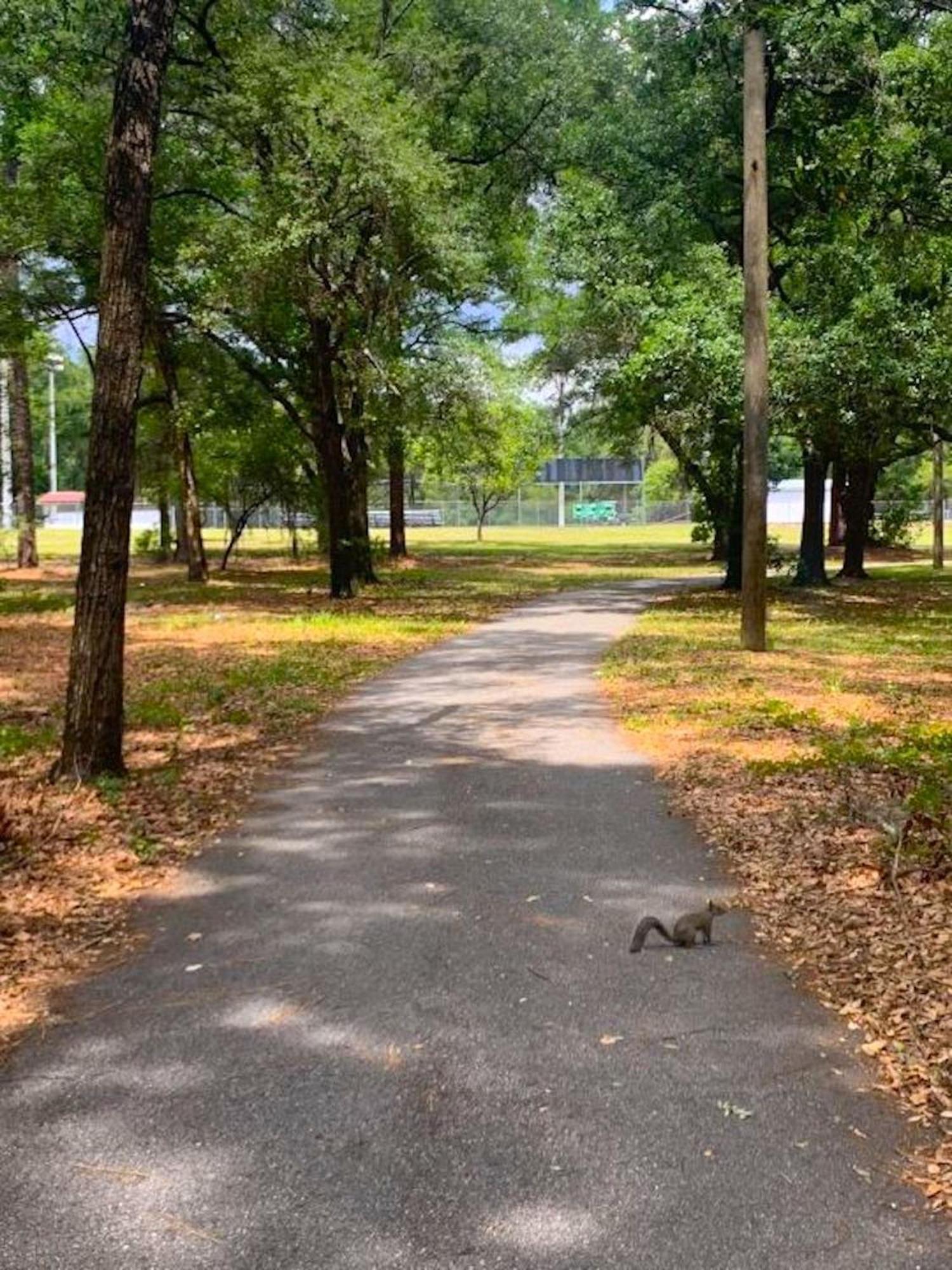 Private Home In Ocala With Fenced Yard, Piano, Central Location, Pets Welcome Esterno foto
